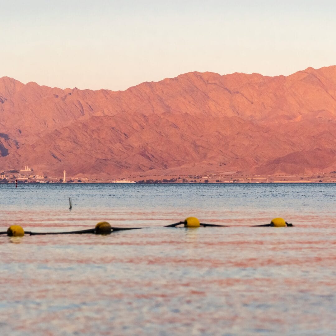 Un gruppo di nuotatori in acqua con le montagne sullo sfondo durante una crociera MSC.