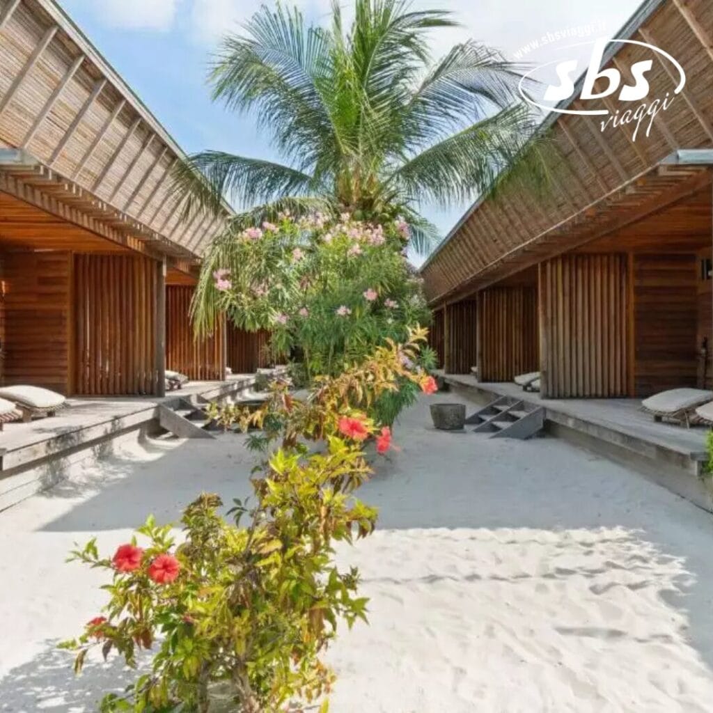 Il Barefoot Eco Hotel offre bungalow in legno lungo un sentiero sabbioso, circondati da piante tropicali e da una palma sotto un cielo azzurro e terso, esempio di turismo sostenibile.