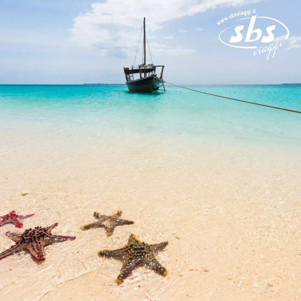 Una barca è ancorata nelle limpide acque turchesi vicino alla spiaggia sabbiosa dell'Igv Dongwe Club, circondata da numerose stelle marine colorate.