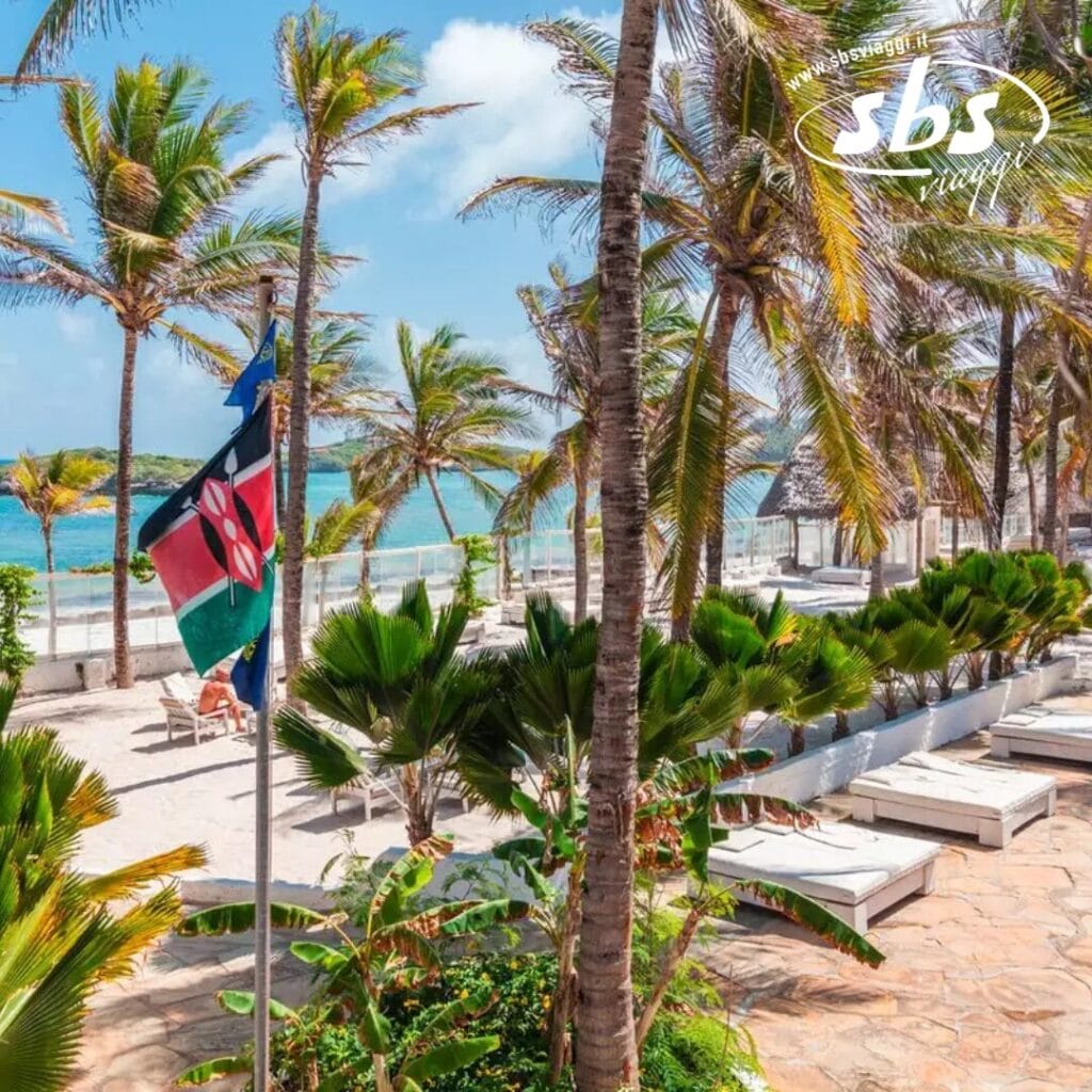 Le palme costeggiano la spiaggia del Barracuda Inn con sedie a sdraio che invitano al relax. Una bandiera con i colori rosso, verde, nero e bianco aggiunge un fascino vibrante. L'oceano luccica sullo sfondo sotto cieli limpidi in questa perfetta destinazione balneare.