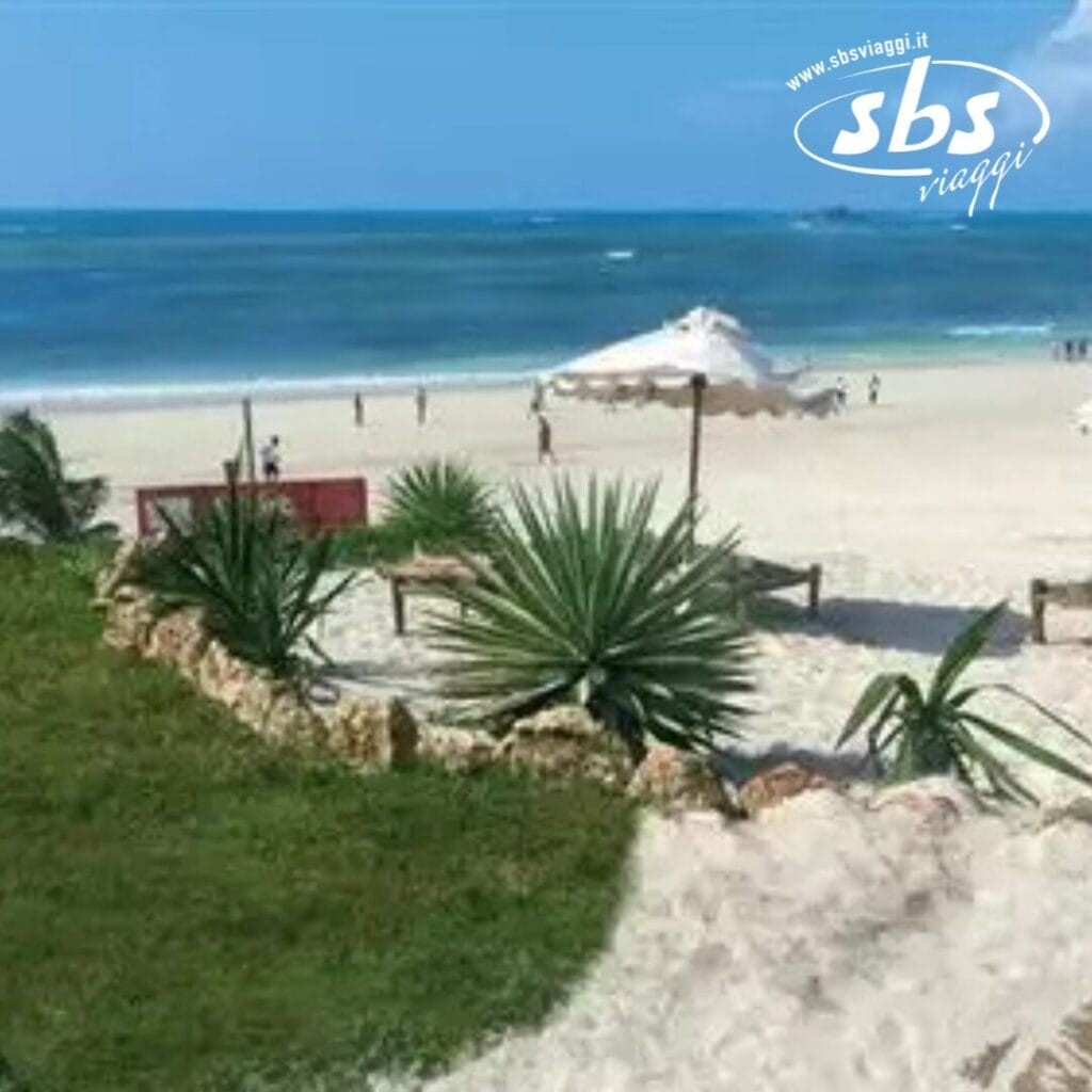 Spiaggia sabbiosa con piante verdi in primo piano, ombrelloni e persone in lontananza. Sono visibili le onde del mare e un cielo azzurro terso.