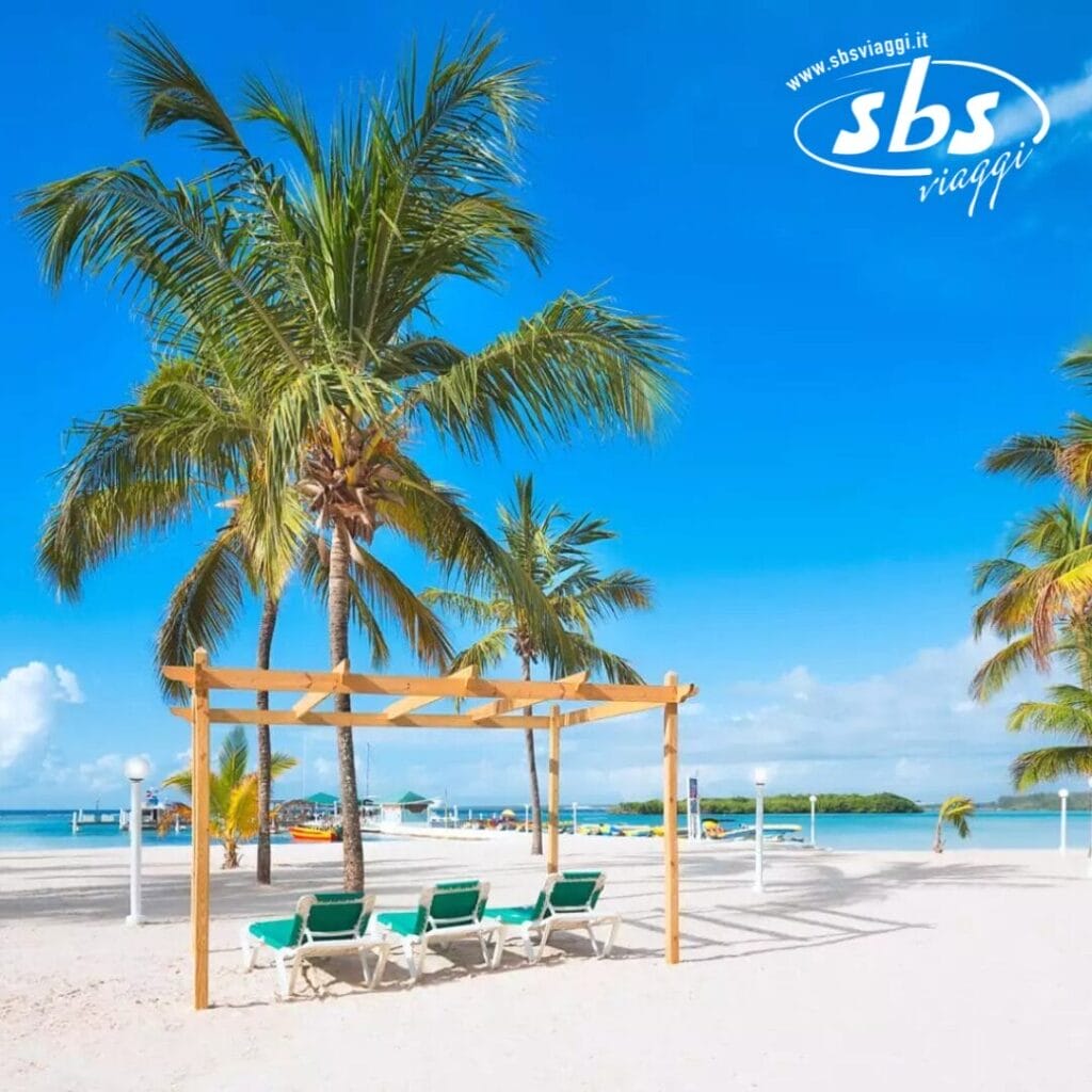 Scena di spiaggia tropicale con palme ondeggianti e quattro sedie a sdraio verdi sotto un rustico pergolato di legno, sullo sfondo di un oceano calmo. Il cielo azzurro e le nuvole soffici completano questa fuga serena. Un logo