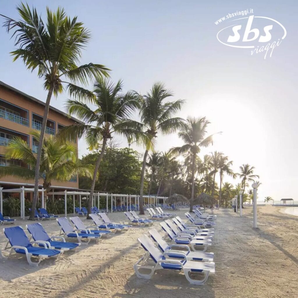 Una fila di sedie a sdraio blu e bianche vuote si estende lungo la spiaggia sabbiosa, con palme che ondeggiano dolcemente nelle vicinanze. Mentre il sole tramonta sotto un cielo limpido, un edificio vicino proietta lunghe ombre, completando questa tranquilla scena di bellezza bozza automatica.