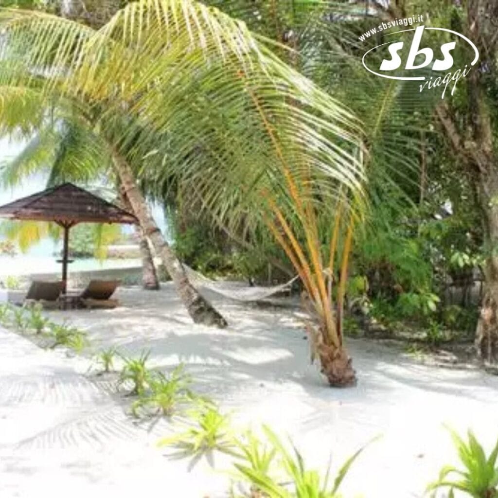 Una scena di spiaggia serena al Nika Island Resort presenta palme, un'amaca, lettini prendisole e un ombrellone di paglia sulla sabbia bianca. Una vegetazione lussureggiante e la tranquillità del rifugio spa completano questo paradiso tropicale.
