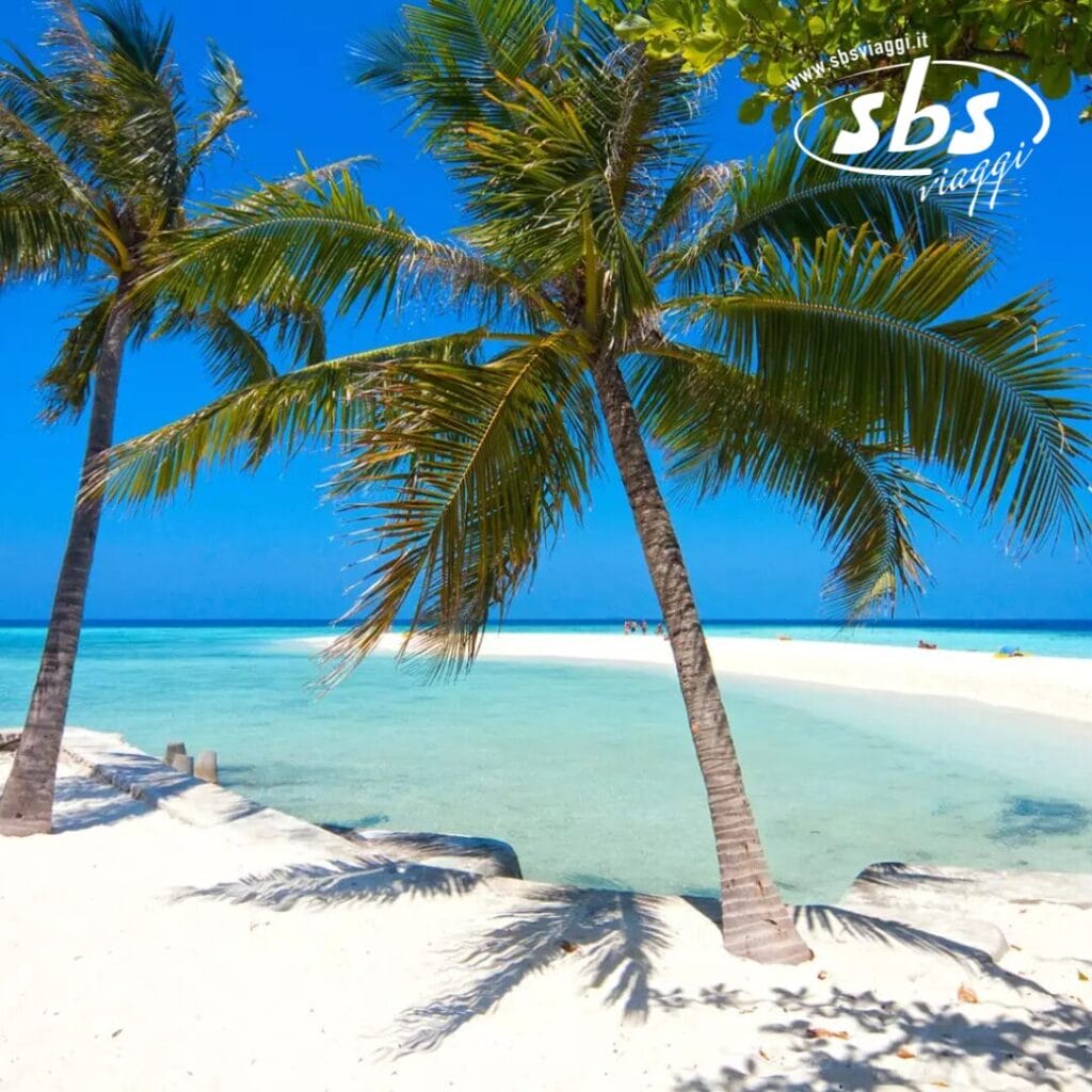 Lo scenario della spiaggia tropicale dell'Embudu Village Island Resort è caratterizzato da due palme ondeggianti, sabbia bianca incontaminata e acqua cristallina sotto un cielo vibrante.