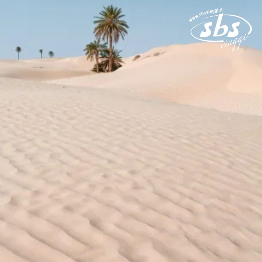 Un paesaggio desertico con dune di sabbia e qualche palma sotto il cielo terso e azzurro di Hammamet. Il logo