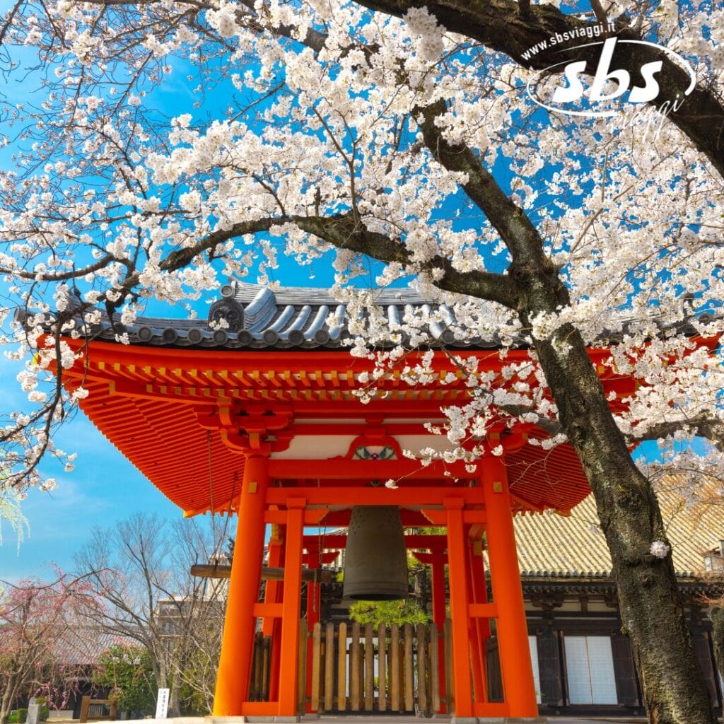 Tra i ciliegi in fiore e sotto un cielo azzurro e terso, una tradizionale struttura giapponese con una campana trasmette serenità, molto simile all'armoniosa eleganza che si ritrova nella Bozza automatica.