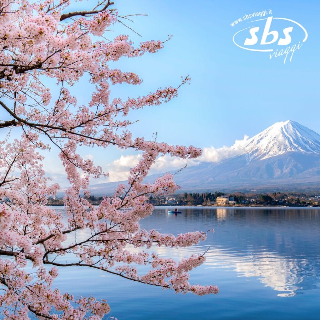 I ciliegi in fiore vicino a un lago, con una montagna innevata sullo sfondo, offrono un quadro sereno che sembra quasi un'opera automatica di bellezza della natura.