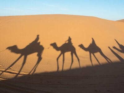 Le sagome delle persone a dorso di cammello tracciano graziosi archi sulle dune di sabbia assolate, sotto l'ampio cielo azzurro e limpido, evocando un immaginario che trasporta negli incantevoli paesaggi dell'Africa.