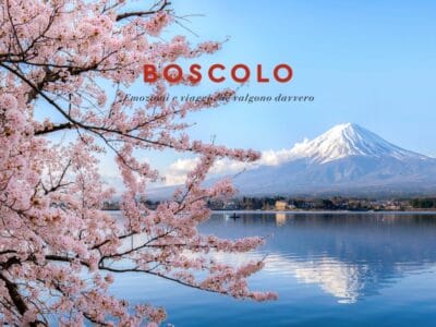I fiori di ciliegio in riva a un lago con il Monte Fuji sullo sfondo evocano la bellezza senza tempo del Giappone classico, con la scritta "BOSCOLO" sopra l'immagine.