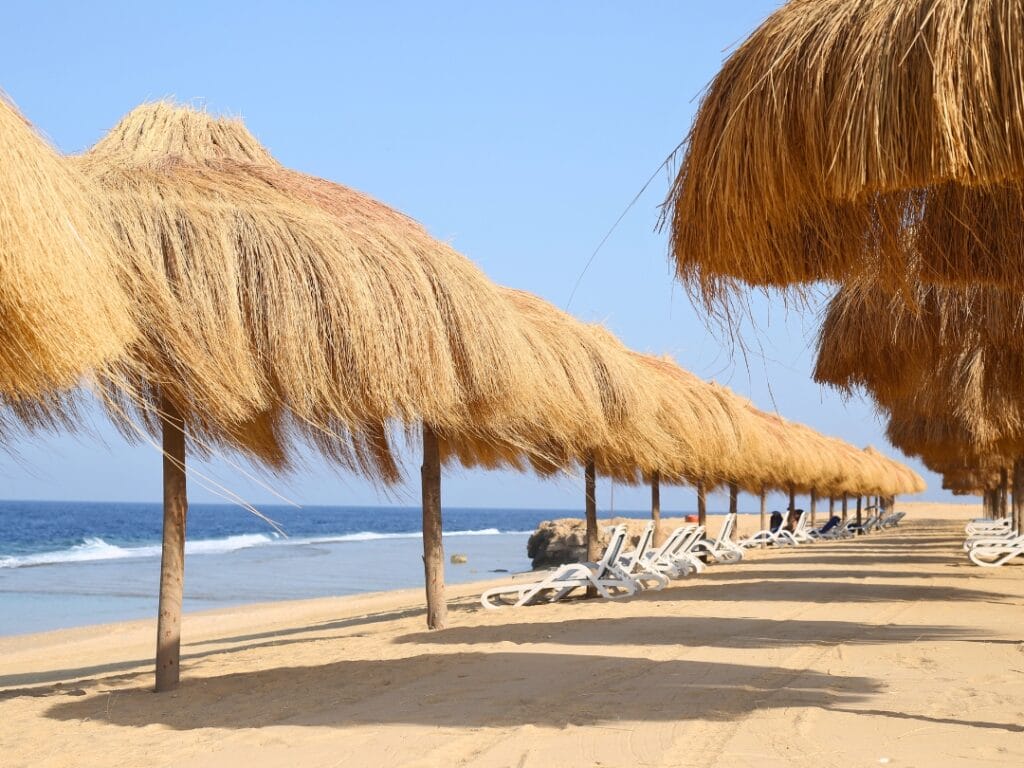 Ombrelloni di paglia e sedie a sdraio, una perfetta bozza automatica, sono allineati su una spiaggia sabbiosa in riva al mare, sotto un cielo limpido e azzurro.