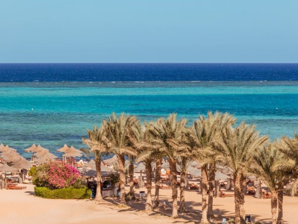 Una spiaggia sabbiosa con palme, lettini e ombrelloni si affaccia su un mare turchese e blu intenso sotto un cielo limpido, offrendo uno scenario da cartolina che non è solo un testo segnaposto.