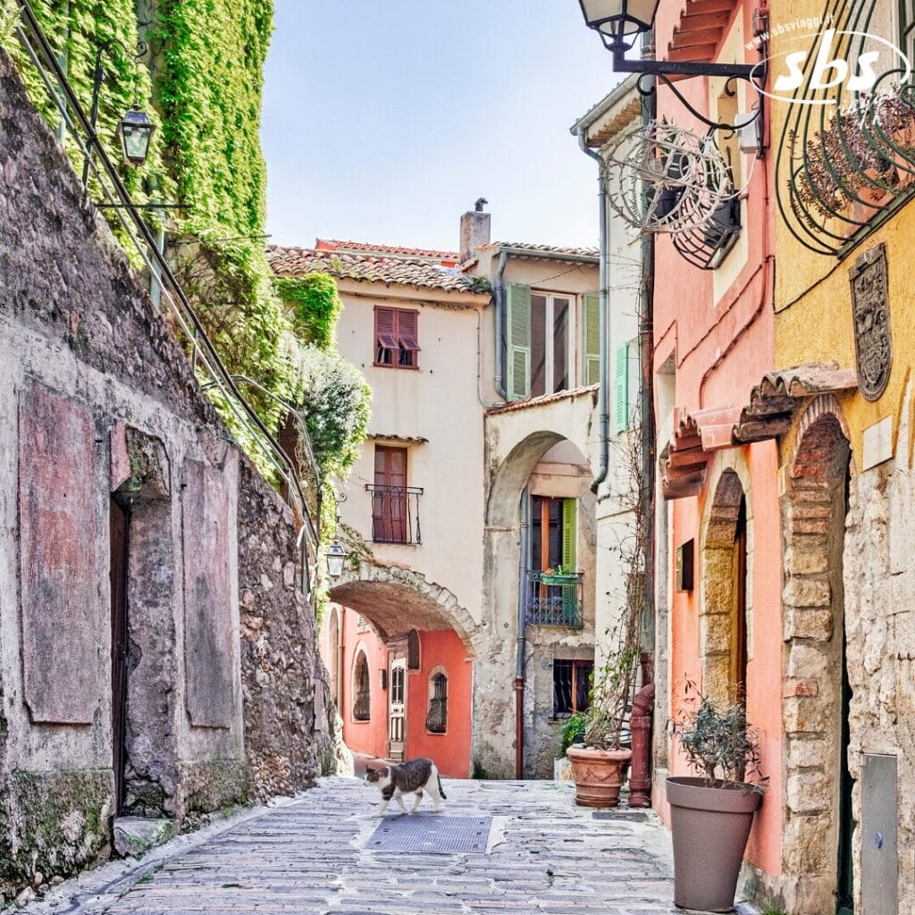 Una stretta strada acciottolata in un villaggio rustico presenta edifici colorati, un arco in pietra, edera rampicante e un gatto che cammina tranquillamente sul sentiero. Il fascino è apparentemente orchestrato con la precisione di una bozza automatica.