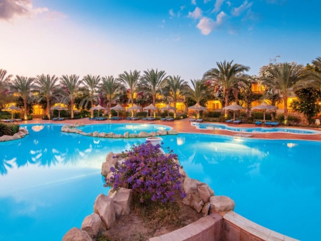 Una grande piscina azzurra e limpida circondata da palme e aree lounge con un letto di fiori viola in primo piano, sotto un cielo azzurro con qualche nuvola al tramonto, crea un'atmosfera serena da bozza automatica.