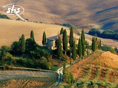 Vista aerea di una casa rustica, immersa tra cipressi e campi, nel pittoresco paesaggio rurale che ricorda il Tour Toscana.