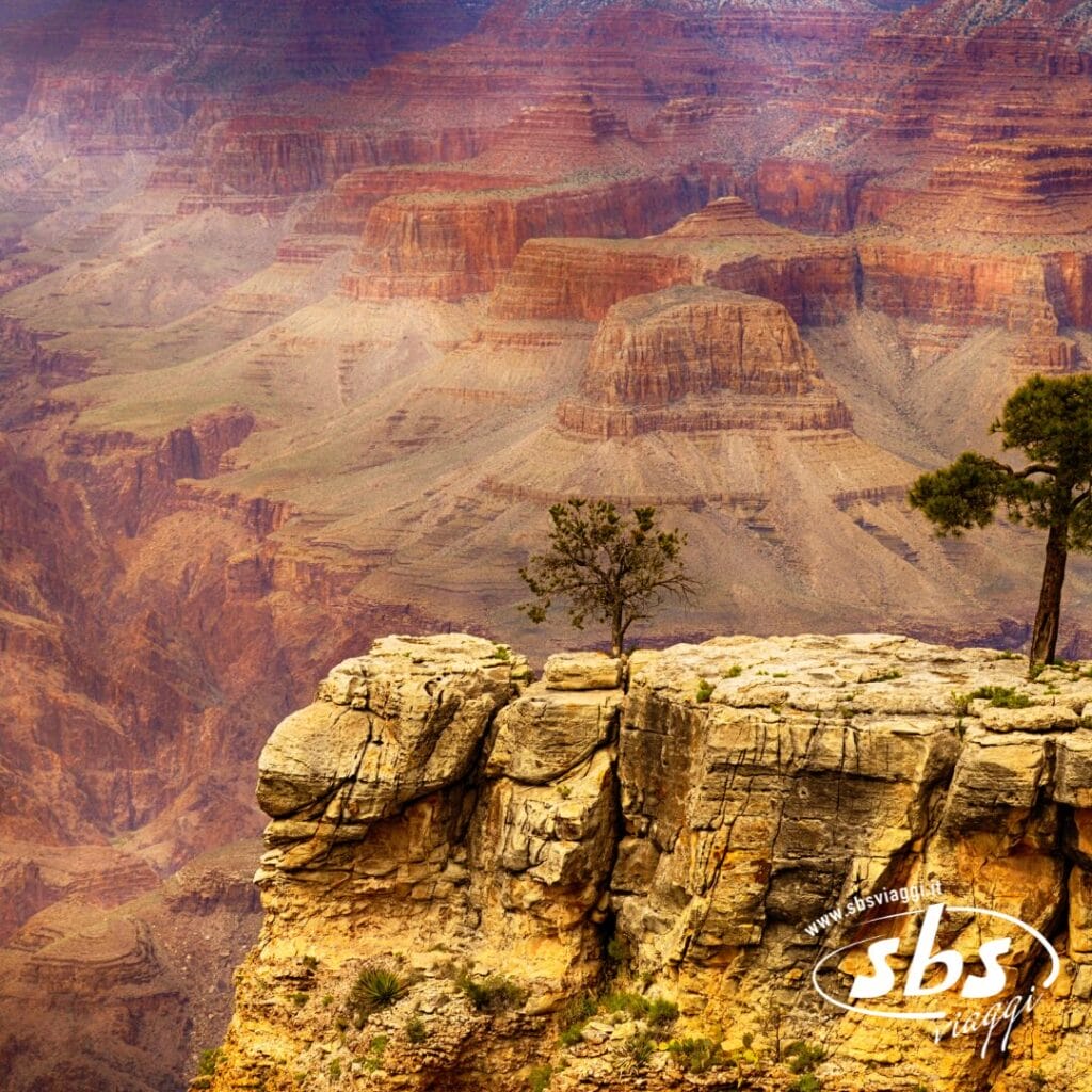 Una scogliera rocciosa con un piccolo albero domina le formazioni rocciose stratificate e i canyon, sotto un cielo velato, nel Grand Canyon, una tappa iconica di qualsiasi tour dei Grandi Parchi occidentali.