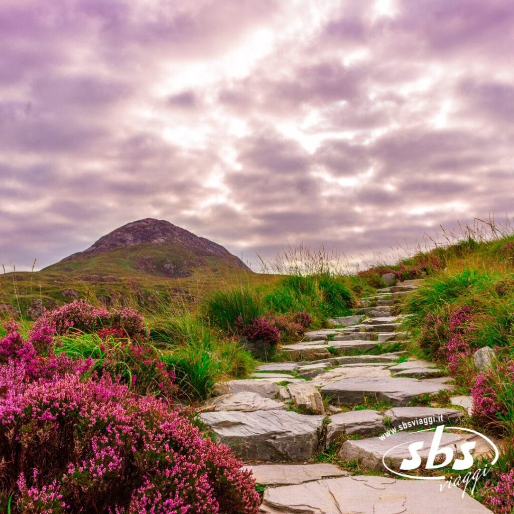 Un sentiero in pietra si snoda tra l'erba verde e l'erica viola verso una collina sotto il nuvoloso Cielo d'Irlanda; nell'angolo appare il logo