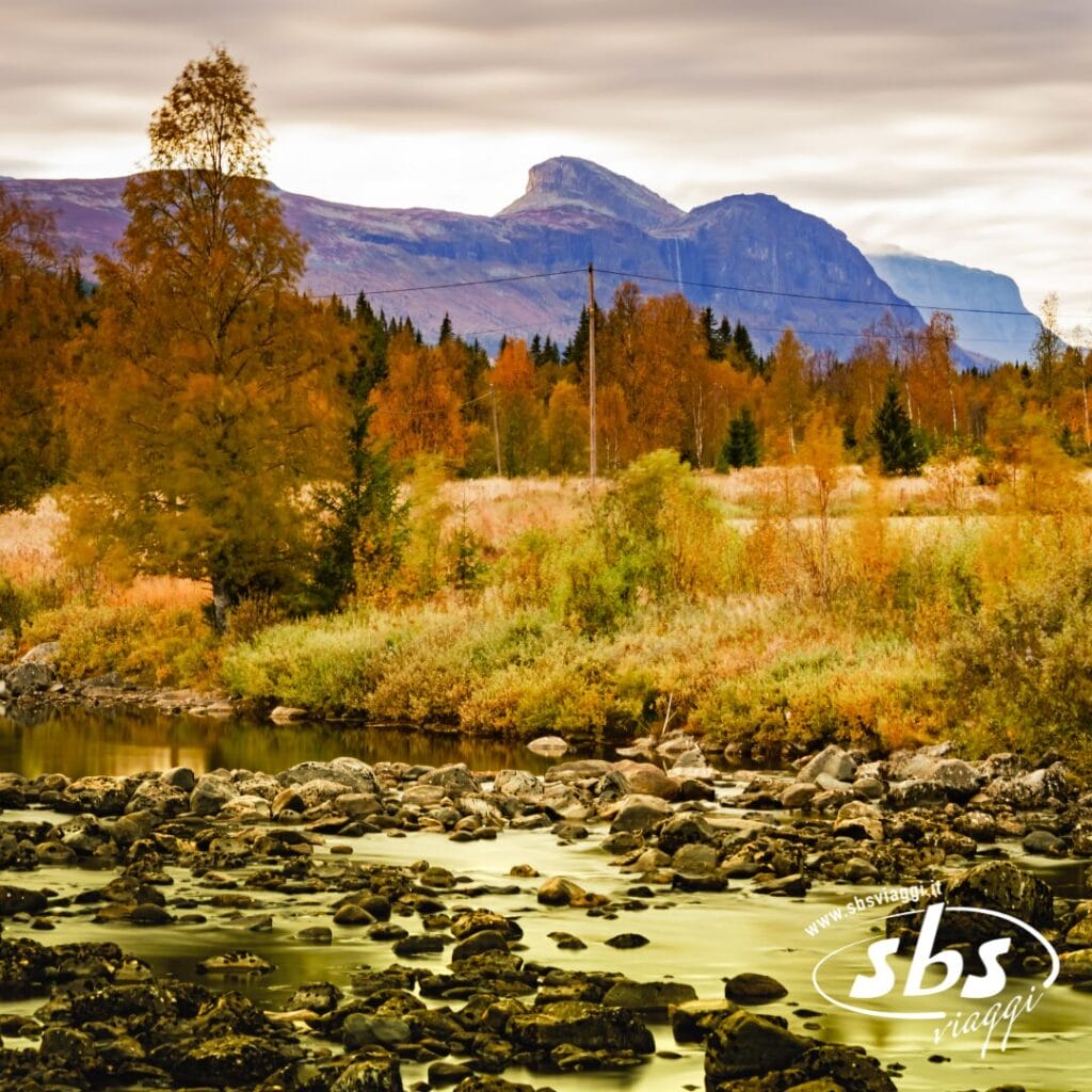 Un fiume con rocce scorre attraverso un paesaggio autunnale in Norvegia, con alberi colorati e montagne sotto un cielo nuvoloso. Il logo