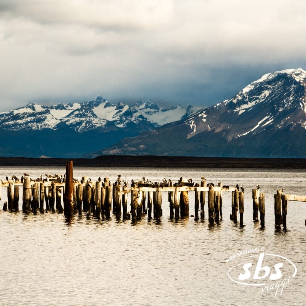 Pali di legno invecchiato con uccelli appollaiati si ergono in acque calme, incorniciati da montagne innevate e cieli nuvolosi in Patagonia.