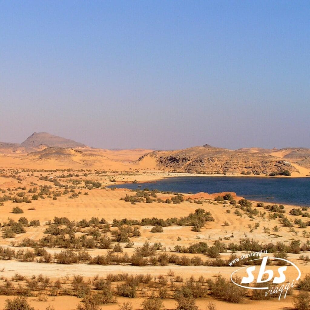 Paesaggio desertico con vegetazione rada, uno specchio d'acqua (che forse ricorda il Lago Nasser) sulla destra, colline in lontananza e un cielo azzurro e limpido.