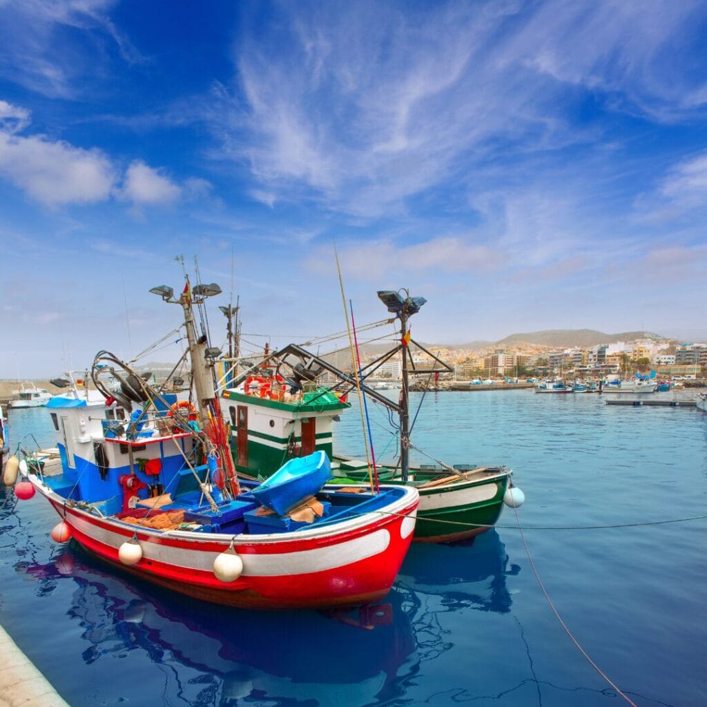 Due barche da pesca colorate sono attraccate in un tranquillo porto della Patagonia, con acque cristalline e azzurre, sotto un cielo parzialmente nuvoloso, con una città costiera e le colline argentine visibili sullo sfondo.