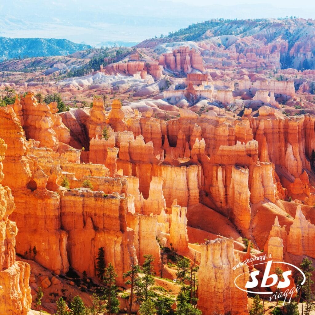 Vista delle suggestive formazioni rocciose color arancio e rosso del hoodoo nel Bryce Canyon National Park, una delle attrazioni principali dei Grandi Parchi del West, con pini verdi sparsi e scogliere stratificate sullo sfondo.