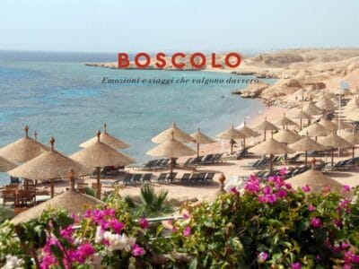 Spiaggia con ombrelloni di paglia e sedie a sdraio, mare cristallino che ricorda il Mar Rosso e fiori in primo piano. Testo Boscolo sovrapposto.