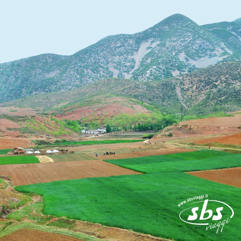 Campi a mosaico in una valle rurale con montagne sullo sfondo; alcuni appezzamenti verdi e marroni, piccole strutture e il logo sbs viaggi in primo piano: perfetti per la tua avventura Gran Tour della Corea o Tour Corea.