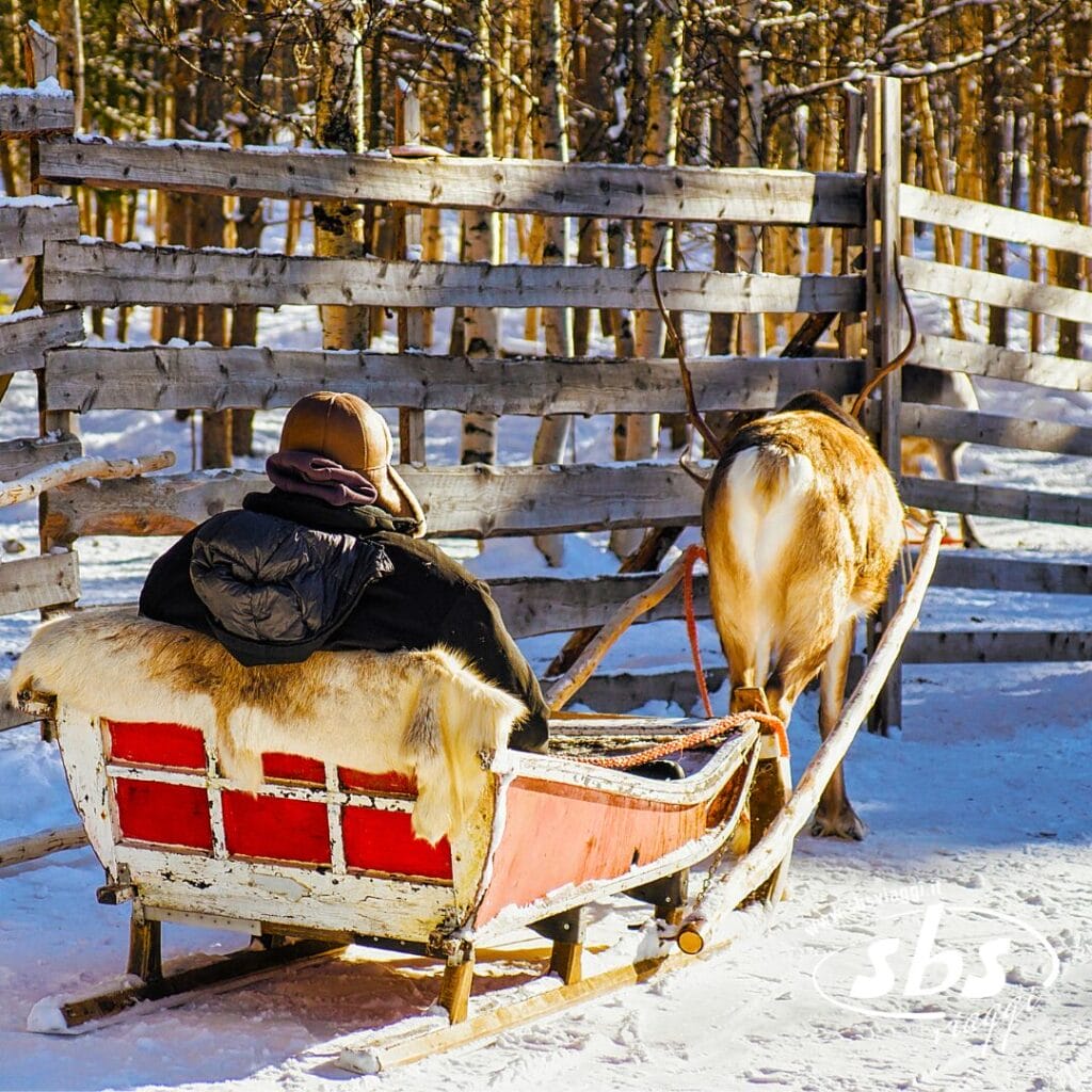 Una persona è seduta su una slitta di legno rossa trainata da una renna sulla neve, vicino a una staccionata di legno e ad alcuni alberi, e sta vivendo la magia dell'Incanto Boreale.