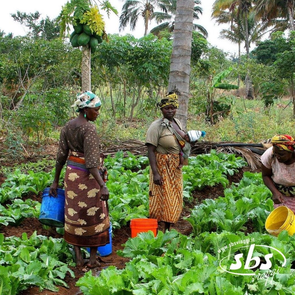 Tre donne che lavorano con i secchi in un rigoglioso orto, circondate da palme e altri alberi, catturano lo spirito della vita quotidiana in Tanzania.