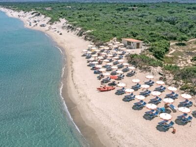 Vista aerea di una spiaggia sabbiosa con file di ombrelloni e sedie a sdraio vicino all'acqua cristallina e alla vegetazione verde, immortalata in uno splendido scatto in stile bozza automatica.