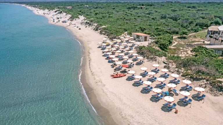 Vista aerea di una spiaggia sabbiosa con file di ombrelloni e sedie a sdraio vicino all'acqua cristallina e alla vegetazione verde, immortalata in uno splendido scatto in stile bozza automatica.