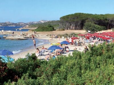 Spiaggia sabbiosa affollata con bagnanti, ombrelloni, lettini rossi e Bozza automatica in riva al mare, incorniciata da alberi verdi sullo sfondo.