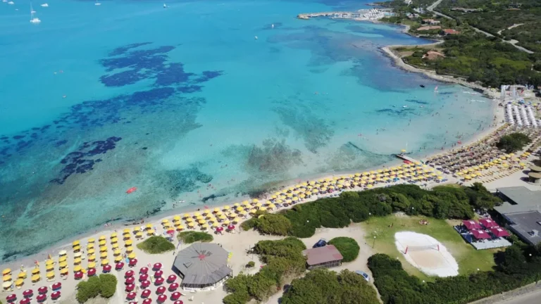 Vista aerea della spiaggia di Stintino con acqua turchese, ombrelloni gialli e bagnanti lungo la riva vicino al Club Esse Roccaruja.