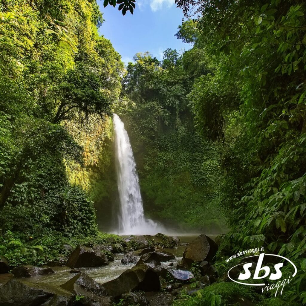 Un'alta cascata si riversa in una piscina rocciosa circondata da una fitta e verde foresta tropicale, sotto un cielo parzialmente nuvoloso: uno scenario incantevole che svela i segreti di Bali. Il logo
