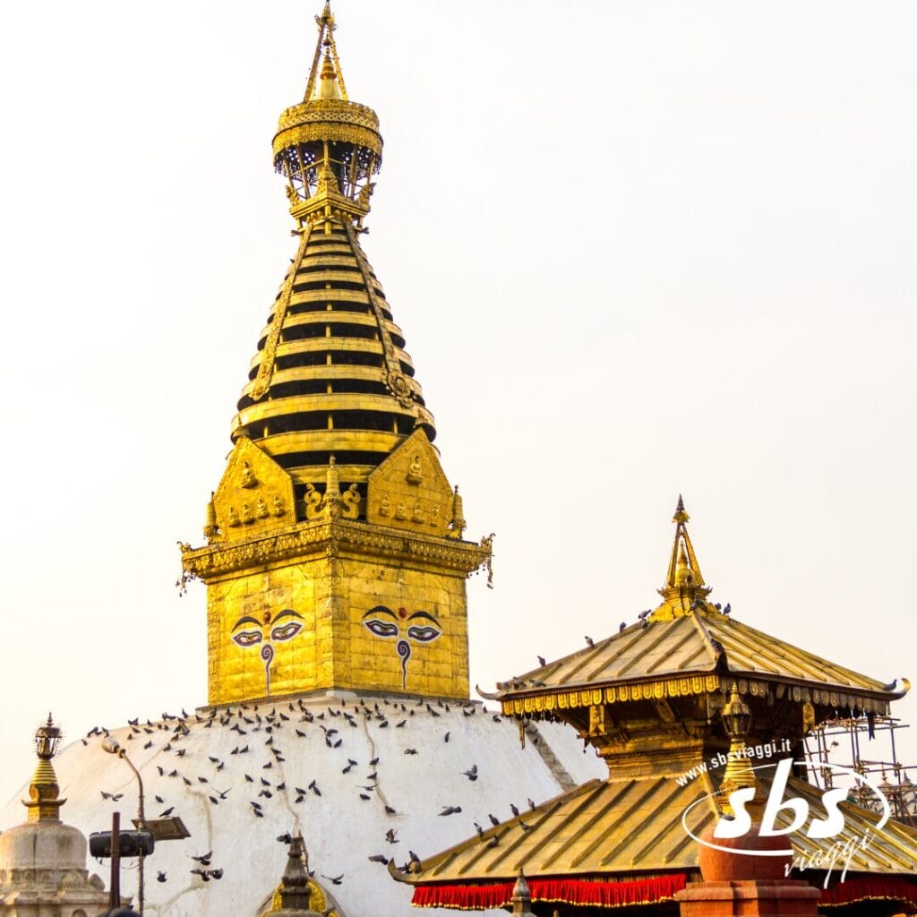 Un grande stupa dorato con occhi dipinti, circondato da piccioni, si erge accanto a un tempio con tetto a più livelli sotto un cielo limpido: uno scenario perfetto da scoprire durante il tuo tour in Nepal o durante un'esplorazione della Valle degli Dèi.