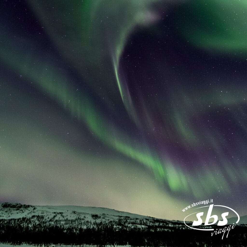 Le luci verdi e viola dell'aurora boreale turbinano nel cielo notturno sopra un paesaggio innevato e alberato nella Lapponia Svedese, con il logo