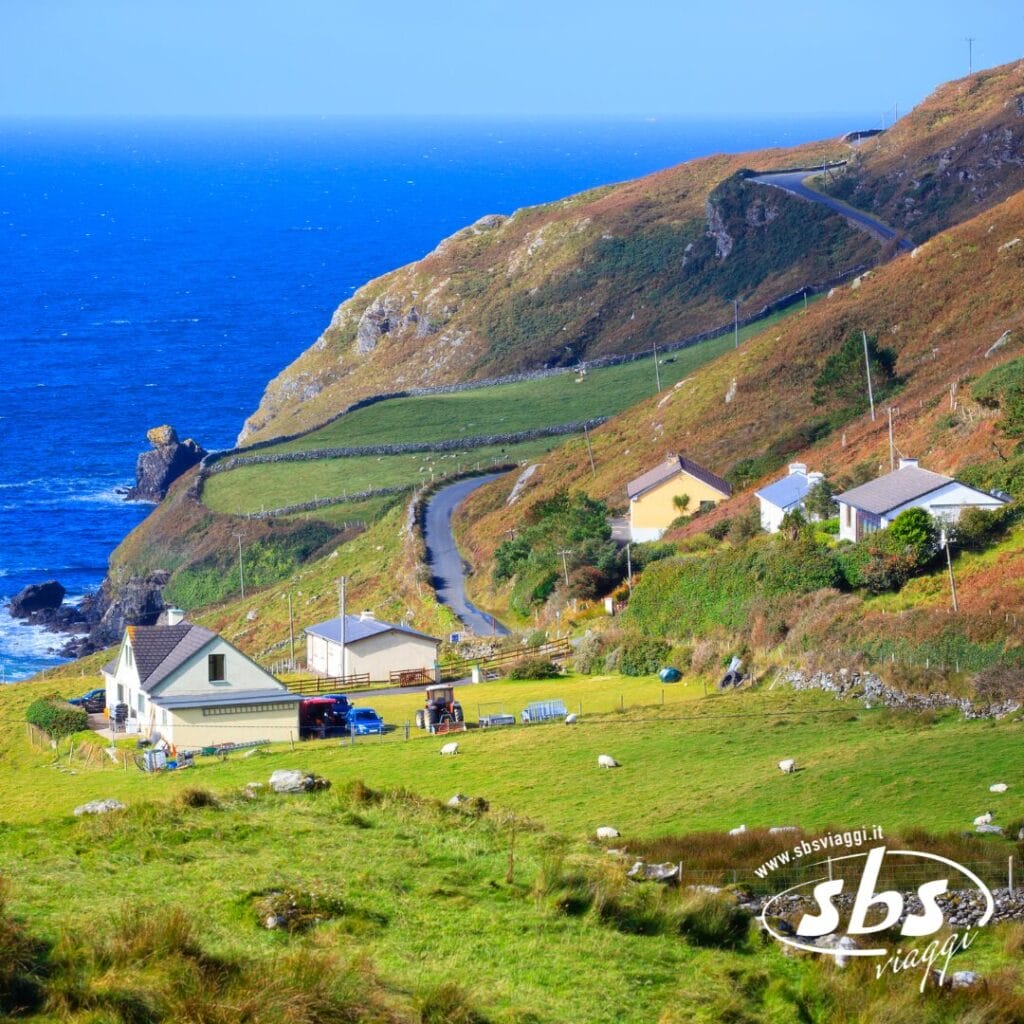 Case e pecore al pascolo su un pendio erboso si affacciano sull'oceano, con una strada tortuosa e scogliere sullo sfondo sotto un cielo azzurro e terso: vivi questo scenario incantevole con Tour Irlanda.