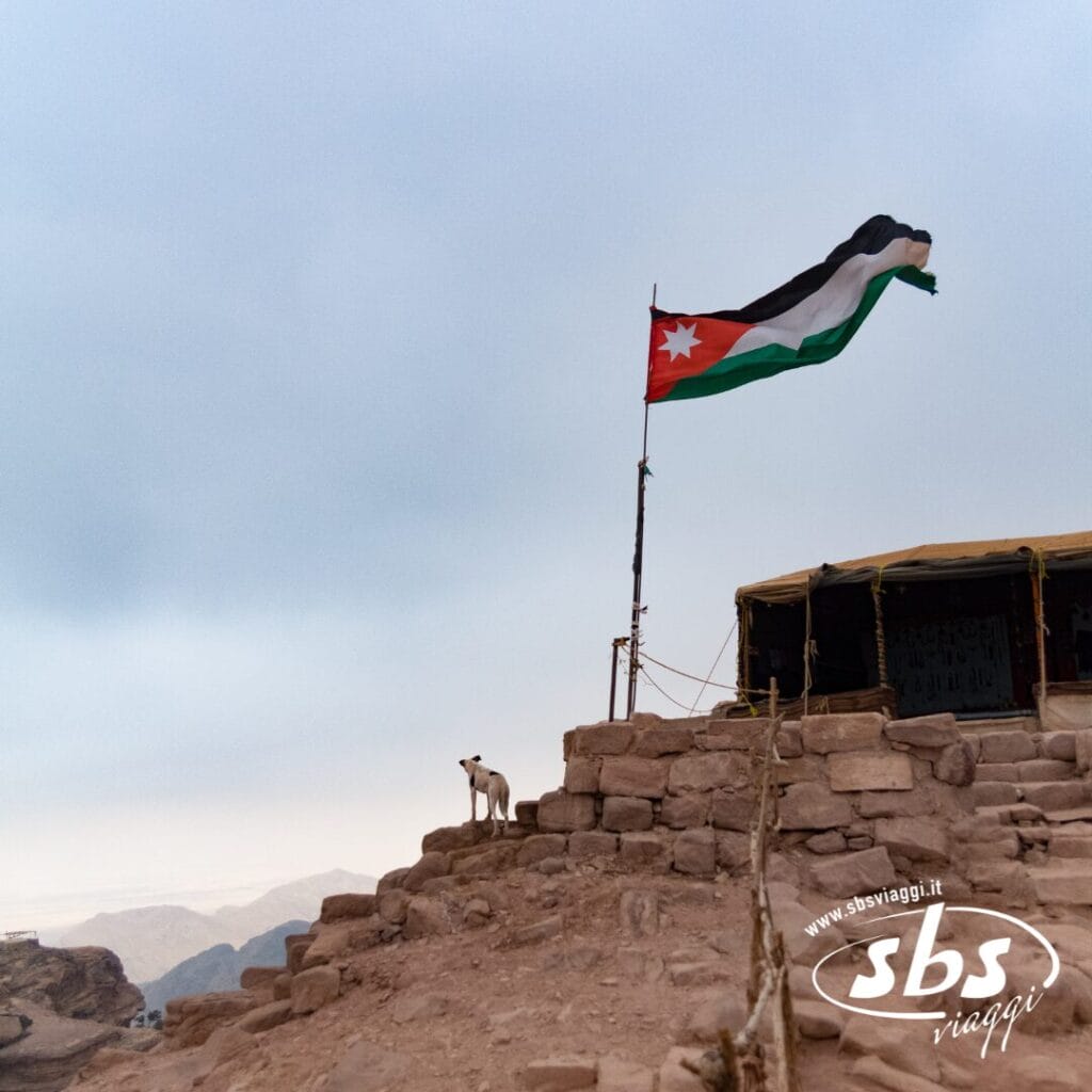 Un cane è in piedi su delle rovine di pietra vicino a una grande bandiera giordana, accanto a una tenda, sotto un cielo nuvoloso, catturando lo spirito di un viaggio tra le meraviglie della Giordania.