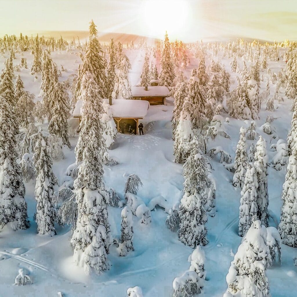 Pini ricoperti di neve circondano una baita di legno in un paesaggio invernale mentre il sole splende luminoso, creando la scena perfetta per il Capodanno in Lapponia, vicino a Luleå.