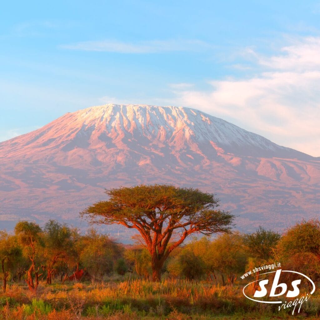 Il monte Kilimanjaro innevato con alberi di acacia in primo piano al tramonto, il logo "sbs viaggi" in un angolo: una scena perfetta da un Gran Tour della Tanzania.