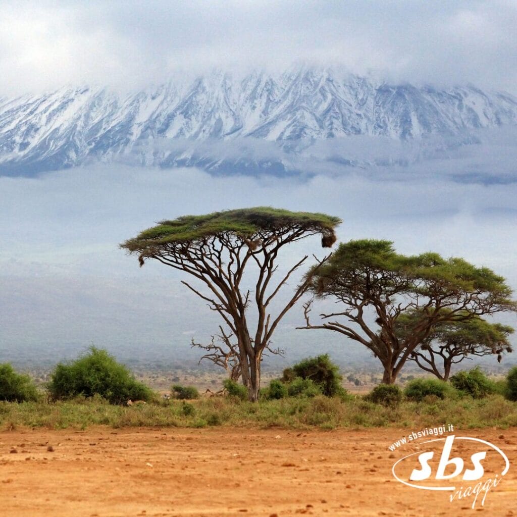 Gli alberi di acacia dalla chioma piatta punteggiano la savana di Amboseli, con una montagna innevata che si erge sullo sfondo sotto un cielo nuvoloso.