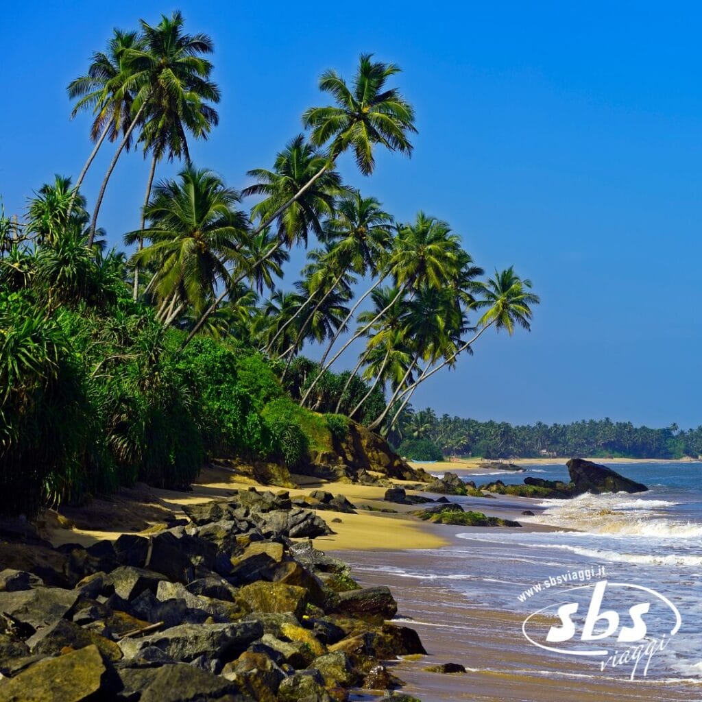 Spiaggia tropicale con alte palme, costa rocciosa, vegetazione verde e cielo azzurro: perfetta per un viaggio in Sri Lanka. Il logo
