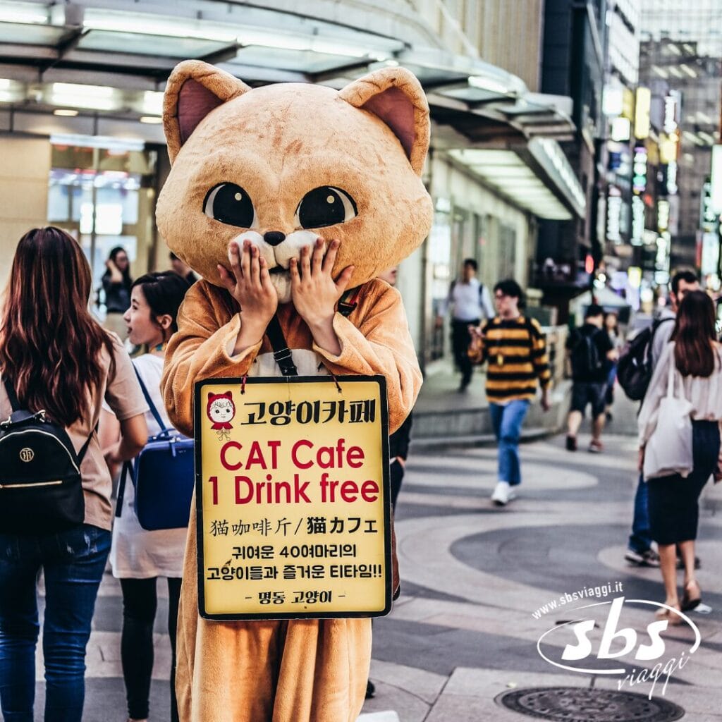 Un personaggio vestito da grande gatto è in piedi su una trafficata strada cittadina e regge un cartello che pubblicizza un bar per gatti con un'offerta di bevande gratuite in più lingue: perfetto per chi partecipa al Tour Corea del Sud e cerca esperienze uniche.