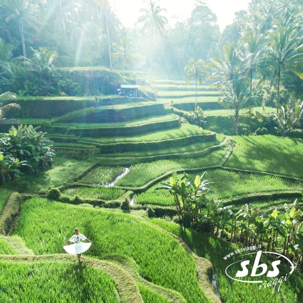 Una persona vestita di bianco è in piedi in mezzo a lussureggianti campi di riso terrazzati, con palme e luce del sole che filtra attraverso: una scena perfetta di Bali, pronta per il tuo prossimo post su Instagram.