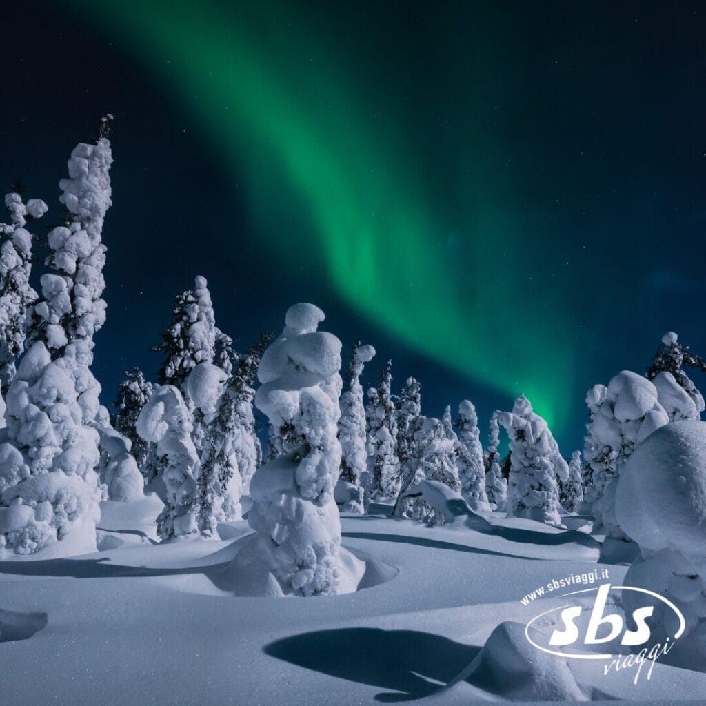Alberi innevati sotto l'aurora boreale nel cielo notturno, perfetti per festeggiare il Capodanno Lapponia Svedese; il logo e il sito web