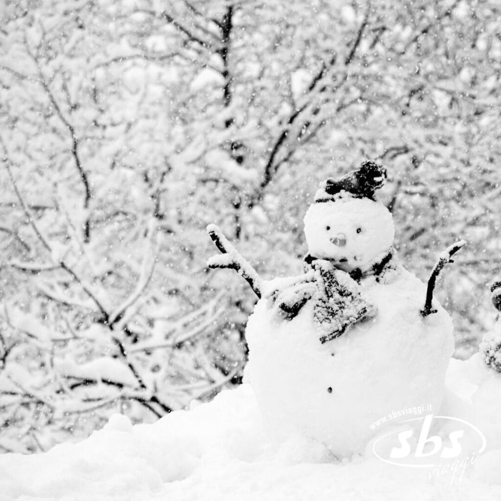 Un pupazzo di neve con braccia di legno, sciarpa e cappello è in piedi in un paesaggio innevato Incanto Boreale, mentre una leggera nevicata drappeggia gli alberi sullo sfondo.
