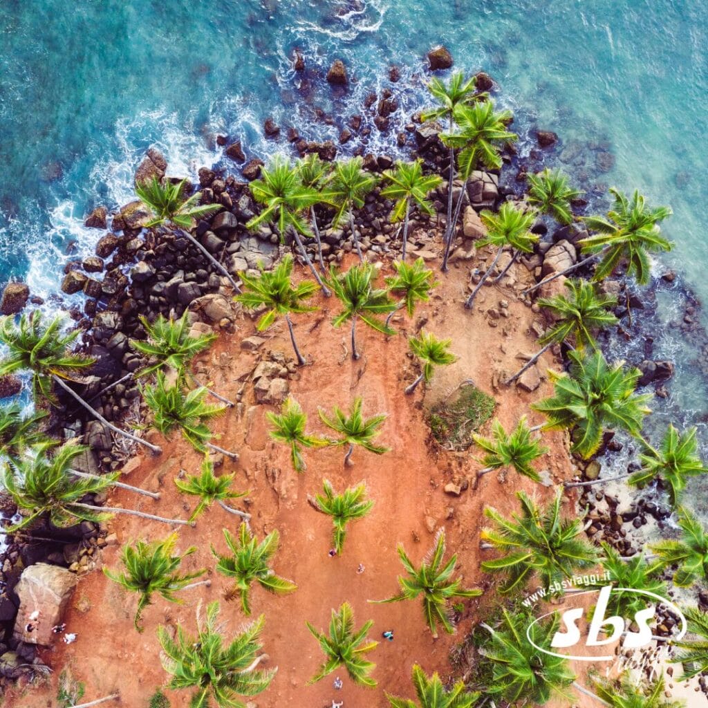 Vista aerea di una piccola isola rocciosa con palme circondata dalle onde blu dell'oceano; sul terreno rosso-marrone sono visibili diverse persone, che catturano la bellezza selvaggia della natura in questo straordinario tour dello Sri Lanka.