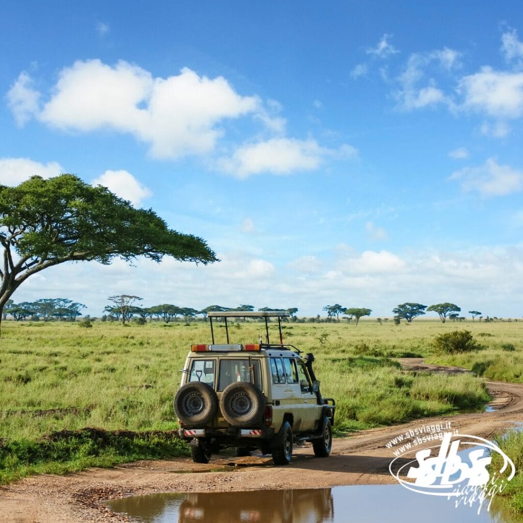 Jeep da safari su una strada sterrata in una savana erbosa con alberi sparsi sotto un cielo azzurro: vivi l'avventura di un tour in Tanzania e scopri la bellezza della natura selvaggia durante il tuo Gran Tour della Tanzania.