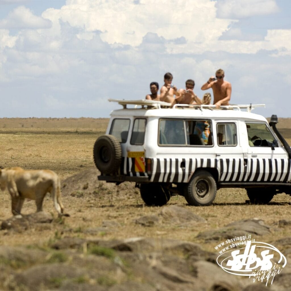Quattro persone osservano un leone dal tetto di un furgone da safari zebrato su una pianura erbosa sotto un cielo nuvoloso, abbracciando lo spirito di Discovery Kenya.